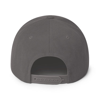 FLEX SNAPBACK HAT