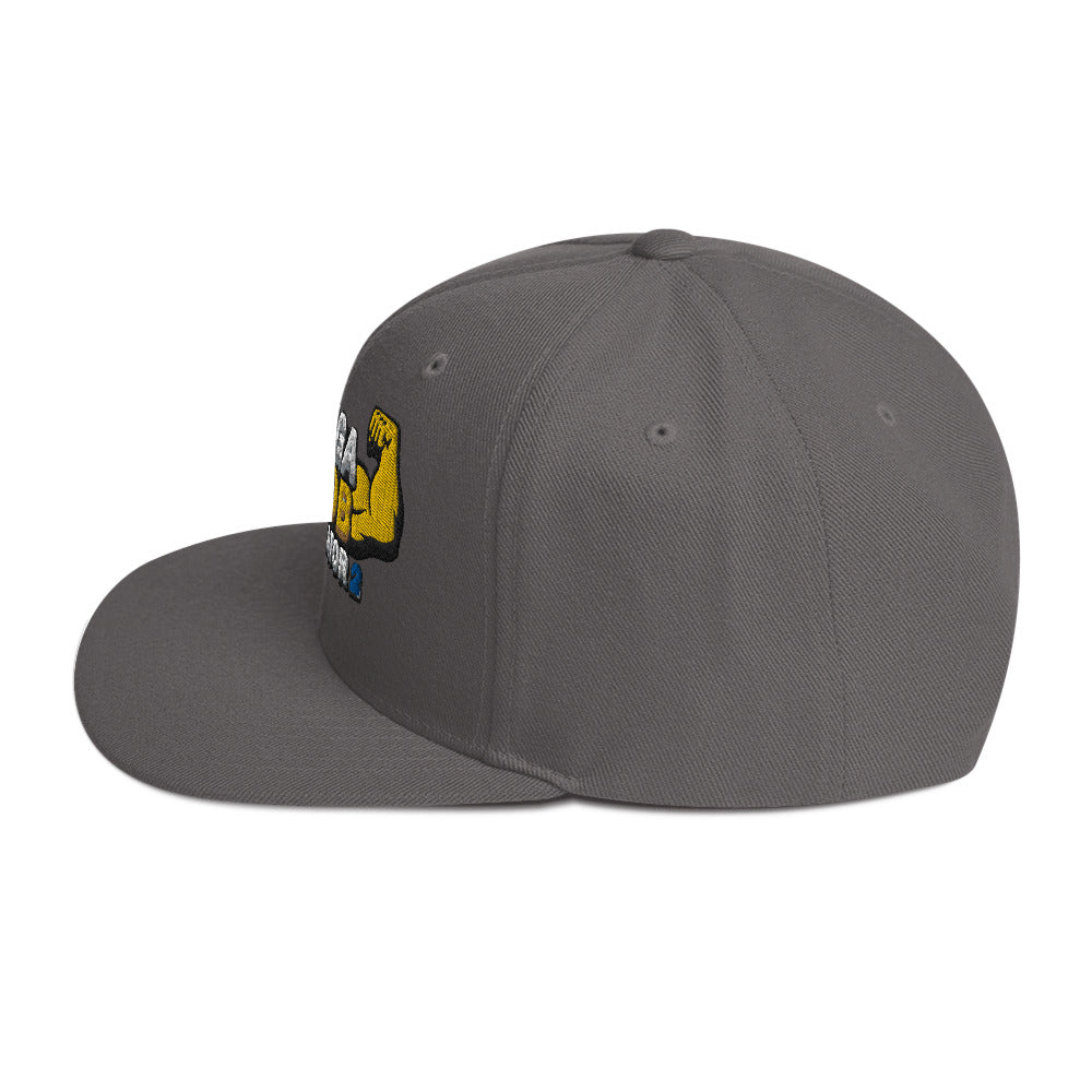 FLEX SNAPBACK HAT