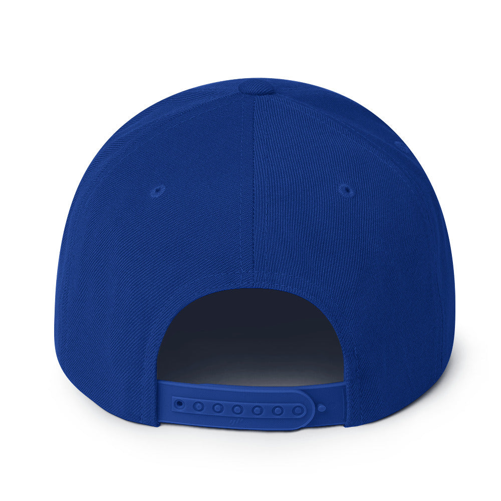 FLEX SNAPBACK HAT